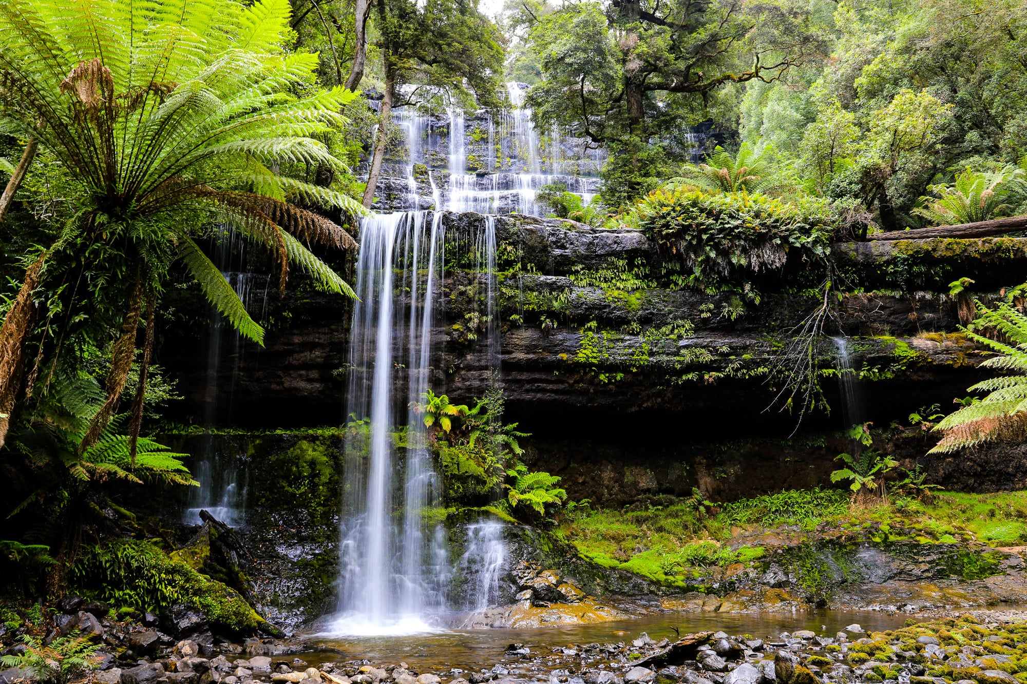 Tasmanian Waterfall